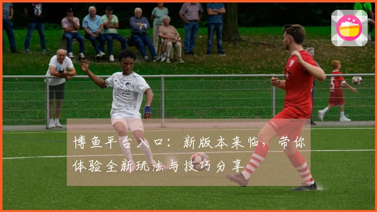 博鱼平台入口：新版本来临，带你体验全新玩法与技巧分享
