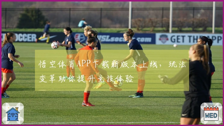 悟空体育APP下载新版本上线，玩法变革助你提升竞技体验
