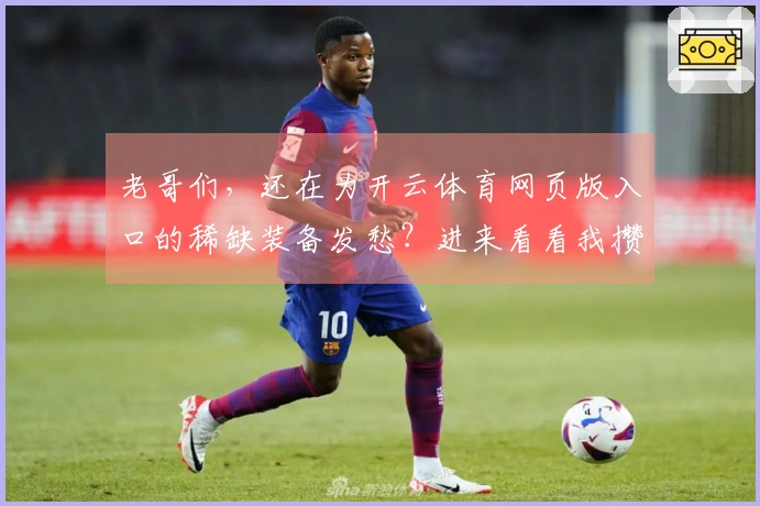 老哥们，还在为开云体育网页版入口的稀缺装备发愁？进来看看我攒下的这些宝贝！