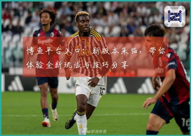 博鱼平台入口：新版本来临，带你体验全新玩法与技巧分享