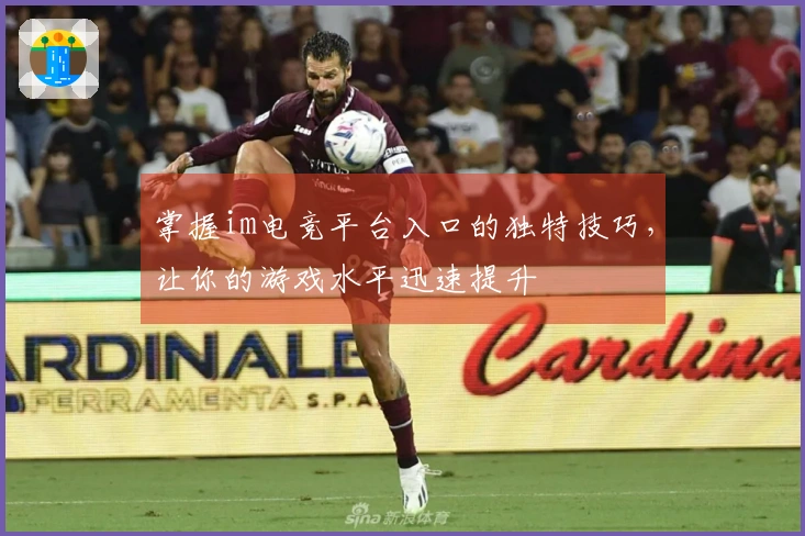 掌握im电竞平台入口的独特技巧，让你的游戏水平迅速提升