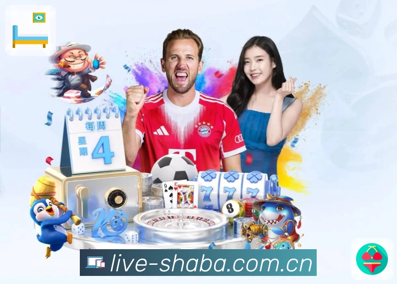 辅助保障 辅助保障 - 稳定访问